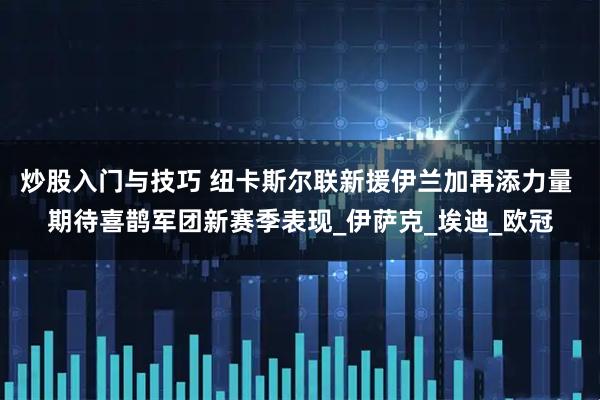 炒股入门与技巧 纽卡斯尔联新援伊兰加再添力量 期待喜鹊军团新赛季表现_伊萨克_埃迪_欧冠