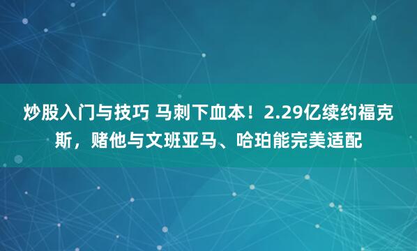 炒股入门与技巧 马刺下血本！2.29亿续约福克斯，赌他与文班亚马、哈珀能完美适配