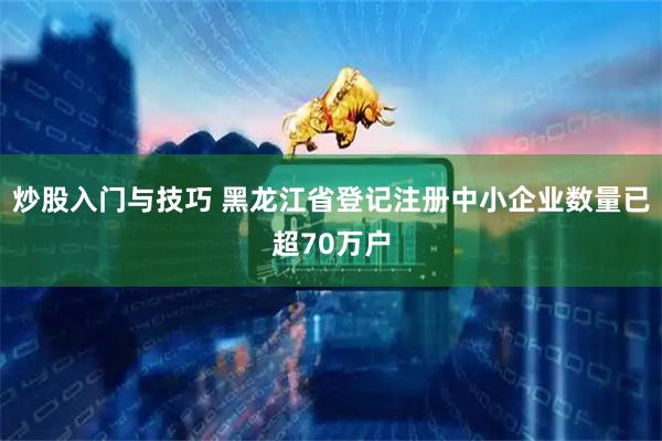 炒股入门与技巧 黑龙江省登记注册中小企业数量已超70万户