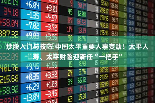 炒股入门与技巧 中国太平重要人事变动！太平人寿、太平财险迎新任“一把手”