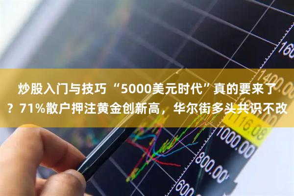 炒股入门与技巧 “5000美元时代”真的要来了？71%散户押注黄金创新高，华尔街多头共识不改