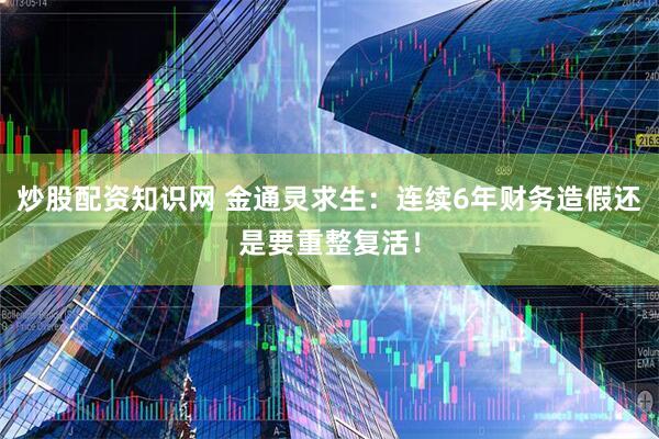 炒股配资知识网 金通灵求生：连续6年财务造假还是要重整复活！